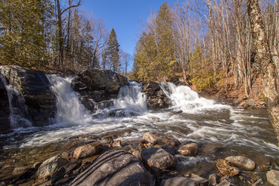 Sheffield VT Town Information Century 21 Farm & Forest